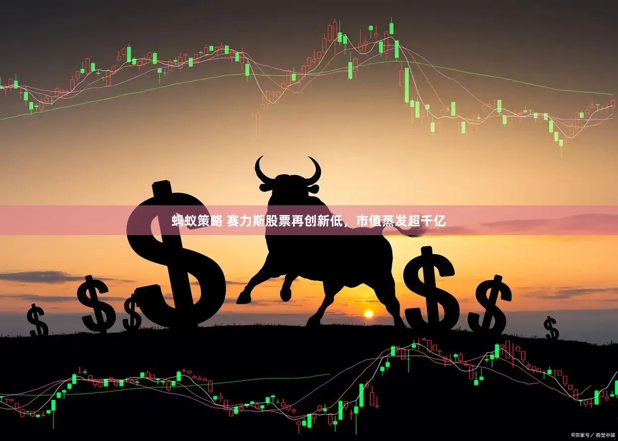 蚂蚁策略 赛力斯股票再创新低，市值蒸发超千亿