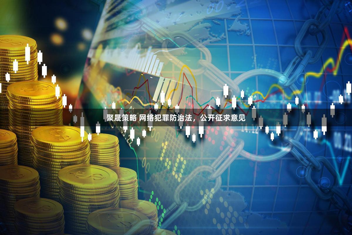 聚晟策略 网络犯罪防治法，公开征求意见