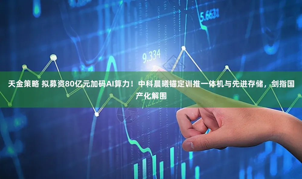 天金策略 拟募资80亿元加码AI算力！中科晨曦锚定训推一体机与先进存储，剑指国产化解围