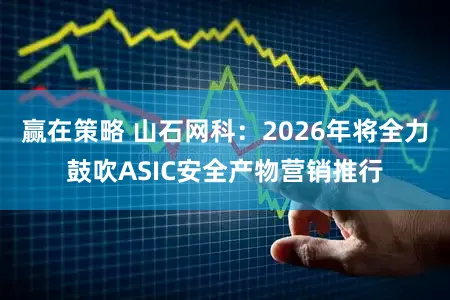 赢在策略 山石网科：2026年将全力鼓吹ASIC安全产物营销推行