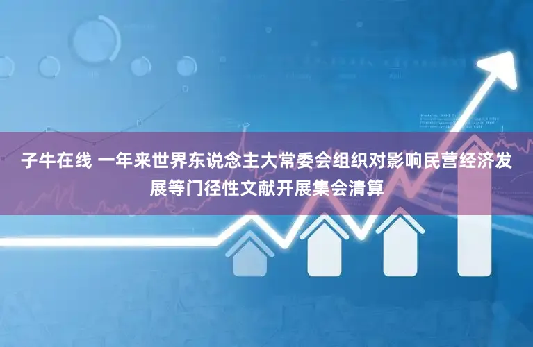 子牛在线 一年来世界东说念主大常委会组织对影响民营经济发展等门径性文献开展集会清算