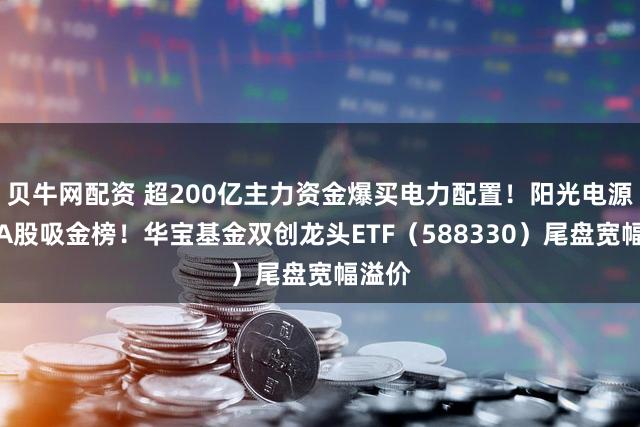 贝牛网配资 超200亿主力资金爆买电力配置！阳光电源登顶A股吸金榜！华宝基金双创龙头ETF（588330）尾盘宽幅溢价