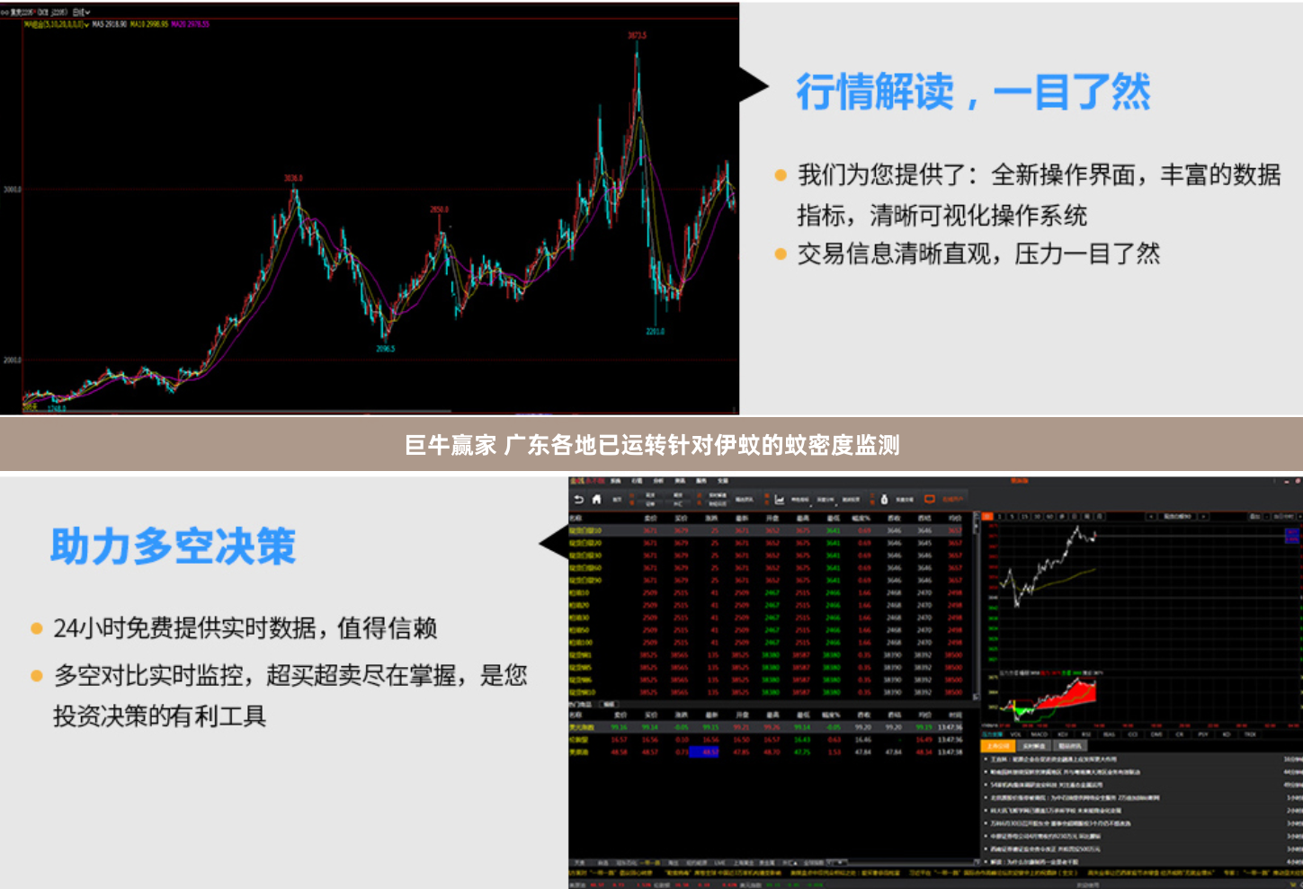 巨牛赢家 广东各地已运转针对伊蚊的蚊密度监测