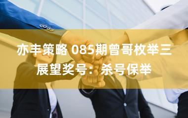 亦丰策略 085期曾哥枚举三展望奖号:杀号保举