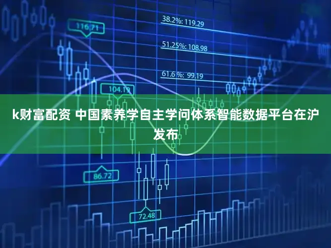 k财富配资 中国素养学自主学问体系智能数据平台在沪发布
