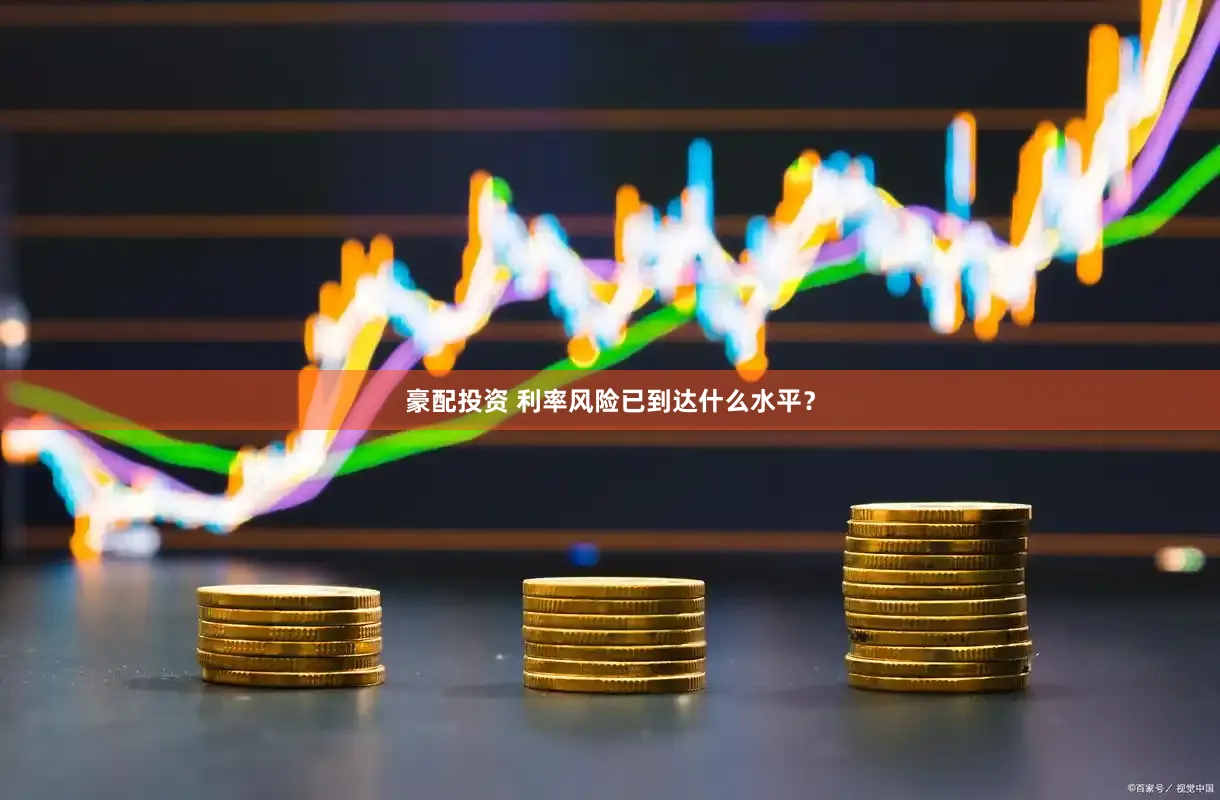 豪配投资 利率风险已到达什么水平？
